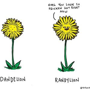 Meet your Posher, Jo